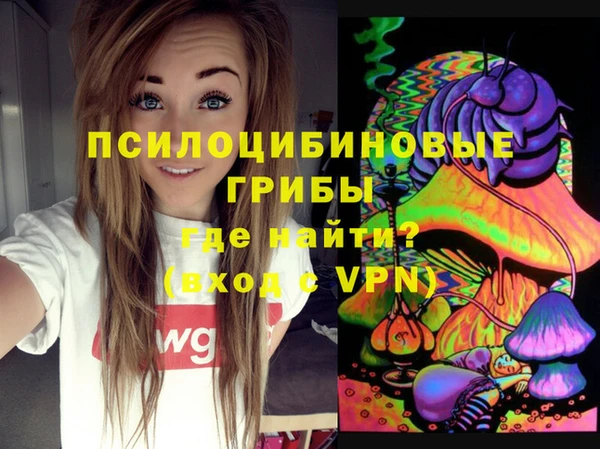mix Касимов