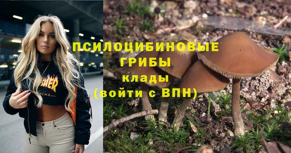 крисы Карталы